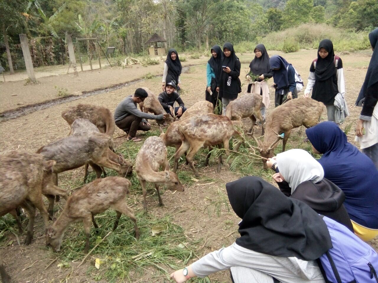 Outdoor Sport and Leisure